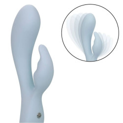 Calexotics - Contour Kali Bleu